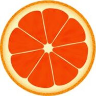 grapefruit for the dukan diet
